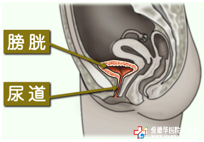 男性得了尿道炎會有哪些危害?