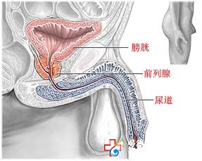 進入冬季警惕尿道炎來襲！九江醫大醫院