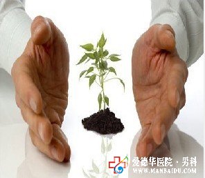 前列腺鈣化的中醫療法