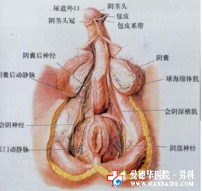 男性出現(xiàn)逆行射精該怎么辦