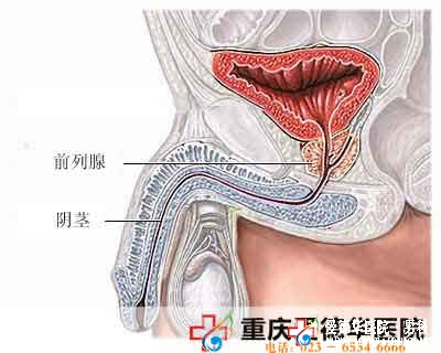 慢性前列腺炎和不良生活習(xí)慣有關(guān)嗎？-九江男科醫(yī)院