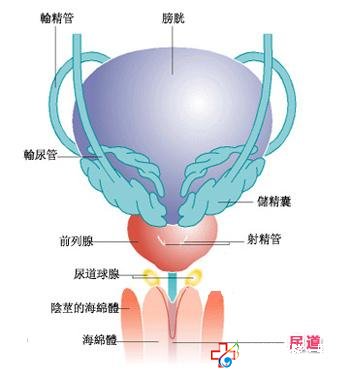 男人得了尿道炎怎么治療-九江男科醫院
