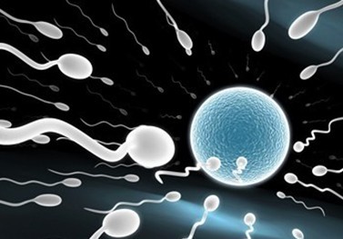 男性精子存活率低寶寶計劃退后