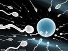 抗精子抗體陽性的治療方法是什么？