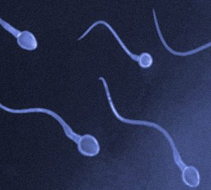 中度弱精的病因是什么？該怎么治療？
